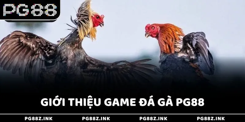 Giới thiệu game đá gà PG88