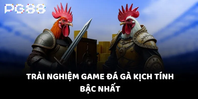 Trải nghiệm game đá gà kịch tính bậc nhất