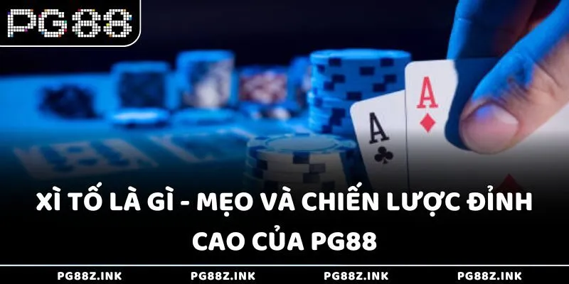 xi to la gi meo va chien luoc dinh cao cua pg88